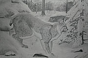 Lynx 2)